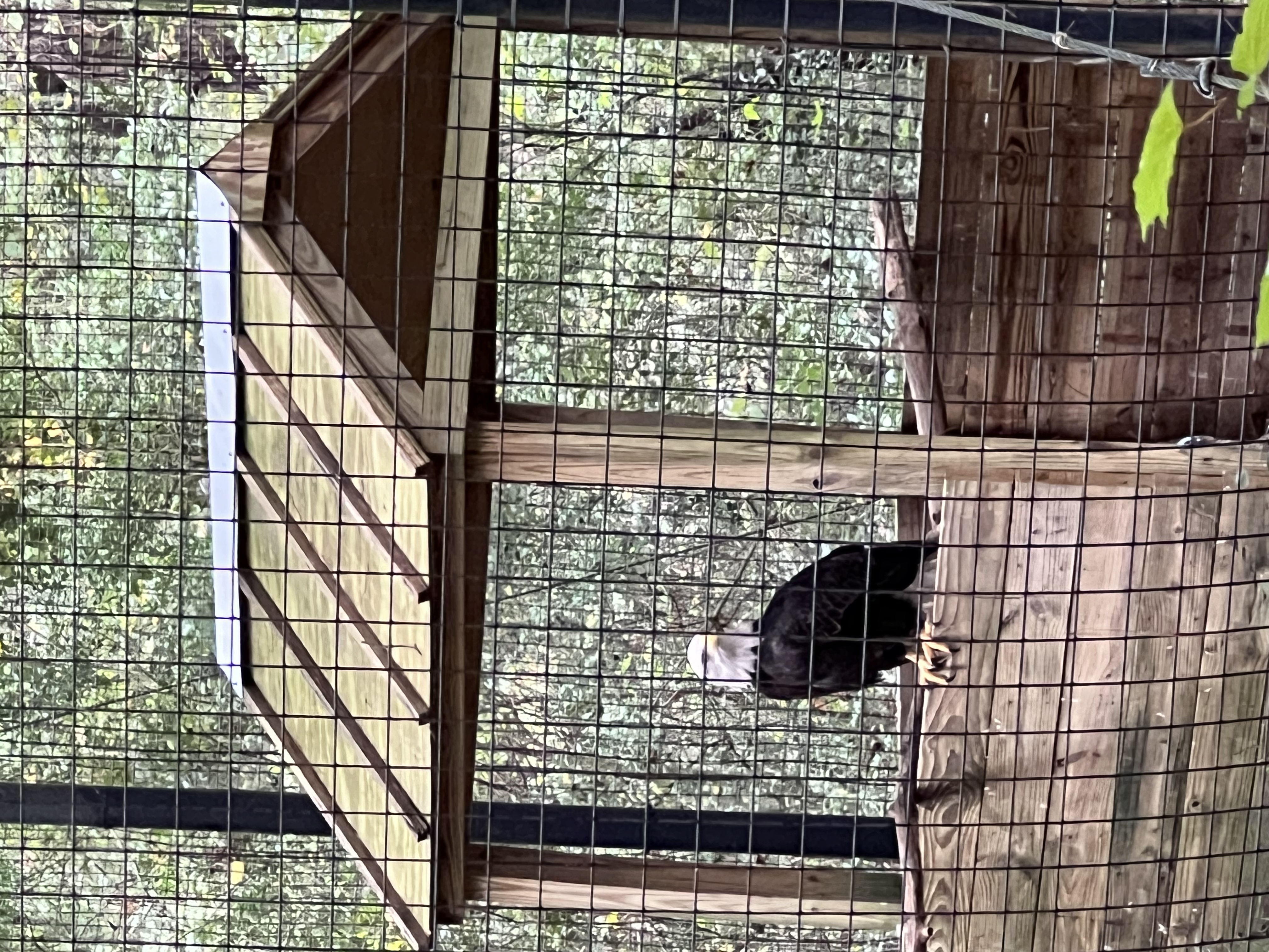 ./2024/10 - Myrtle Beach/IMG_2831.jpg